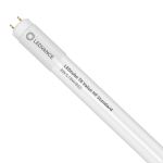 Ledvance Tubo LED T8 Value (HF) Standard Output 8W 900lm - 865 Luz de Día | 60cm - Reemplazo 18W