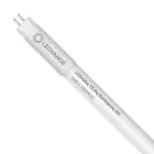 Ledvance Tubo LED T5 Performance (Mains AC) High Efficiency 16W 2150lm - 830 Luz Cálida | 115cm - Reemplazo 28W