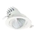 Philips Foco LED LuxSpace Accent Performance RS781B 38.5W 4900lm 36D - 830 Luz Cálida | 170mm 