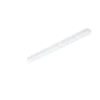 Philips Pantalla LED CoreLine BN126C 49W 6400lm - 840 Blanco Frio | 120cm - 1x Cableado De Paso