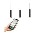 Eglo Colgante De Luz Balamorta-Z Acero Negro 3.7W 500lm - 827-865 Ajustable Blanco + RGB | IP20 - Zigbee Regulable