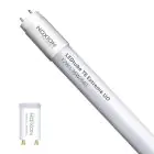Noxion Tubo LED T8 Avant Extreme (EM/Mains) Ultra Output 15.9W 2550lm - 840 Blanco Frio | 120cm - Reemplazo 36W